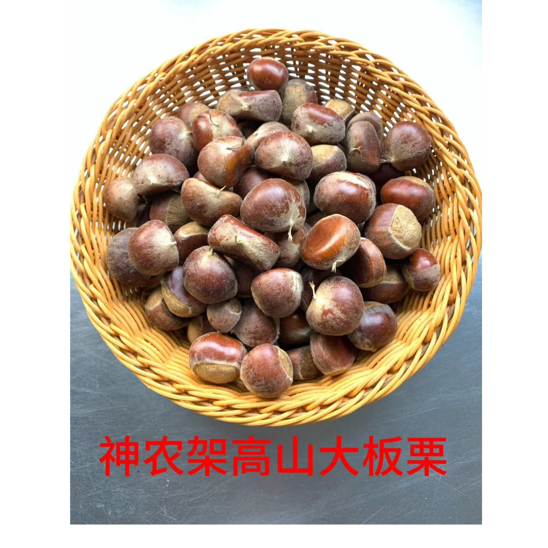 神农架高山板栗2025年新鲜采摘现摘现发3斤5斤装生吃脆甜熟吃粉糯