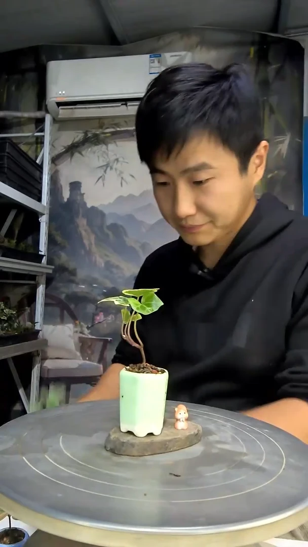 ?***厂中青园艺一物一拍花297