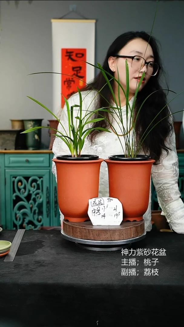 紫砂花盆980花泥紫砂花盆