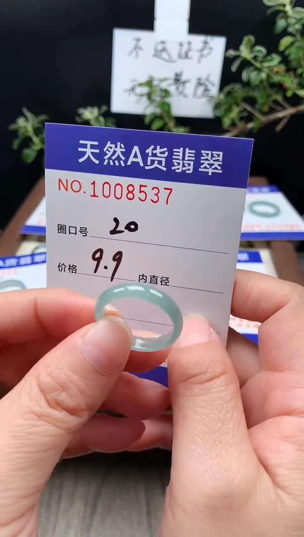 未镶嵌戒指翡翠20#