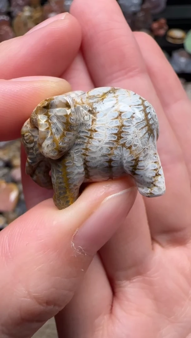 颈饰未镶嵌硅化珊瑚（珊瑚玉）616