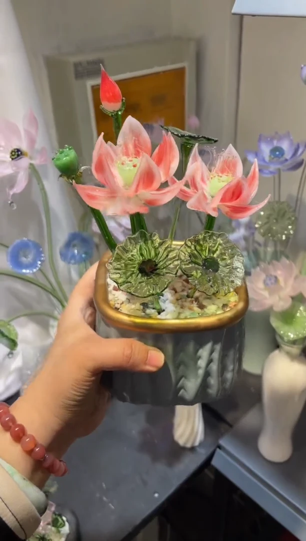 琉璃14荷花 福利价