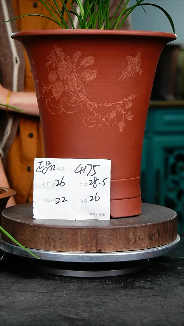 紫砂花盆花卉园艺4175