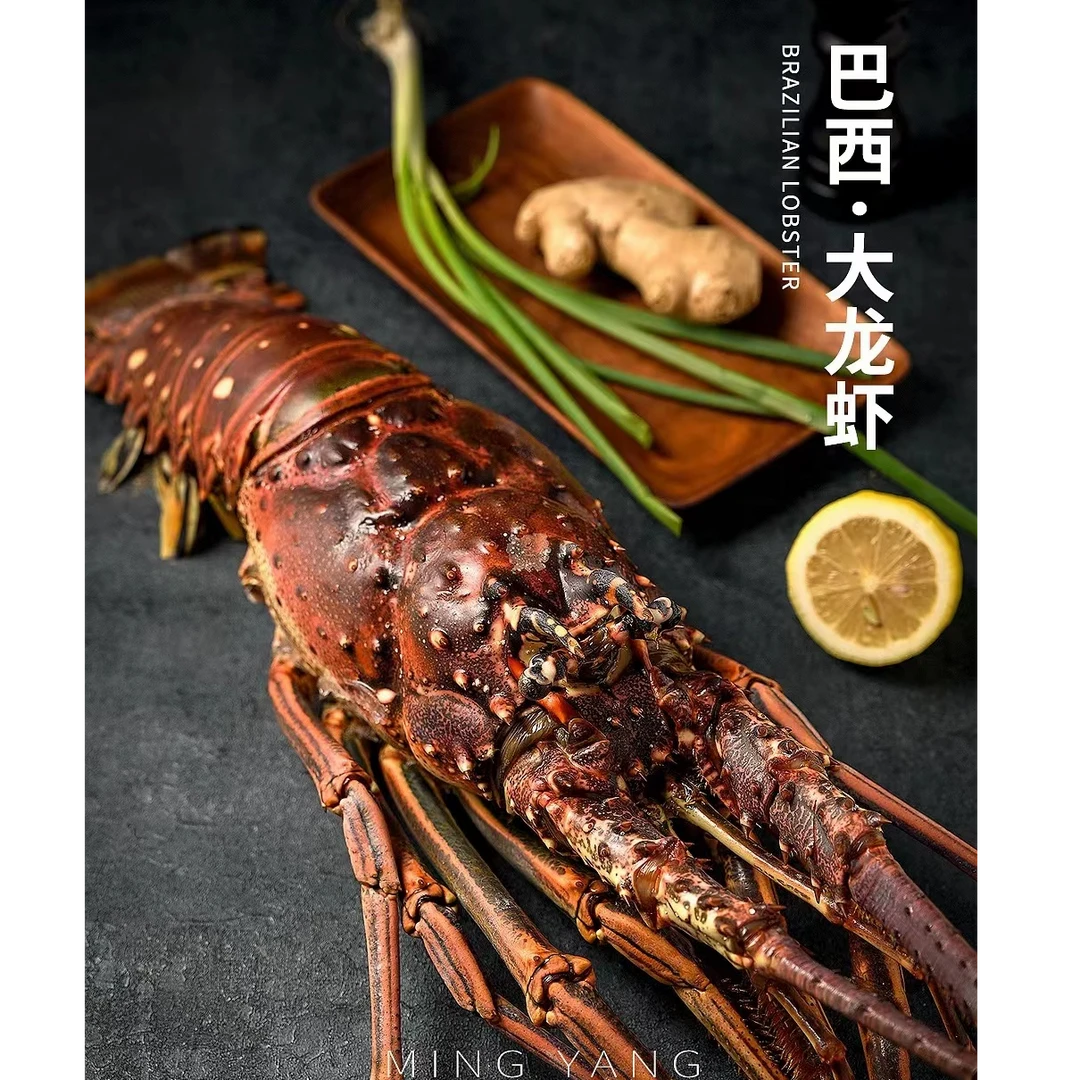 【餐桌C位菜】深海捕捞活冻大花龙2只+熟冻去脏帝王蟹1只