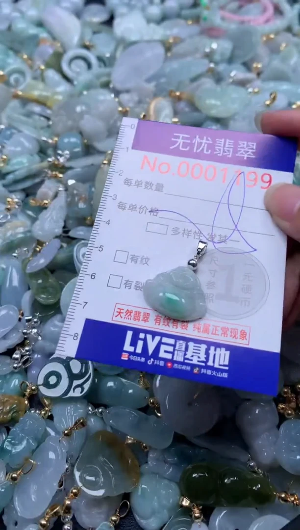 翡翠未镶嵌吊坠(不含链)1199