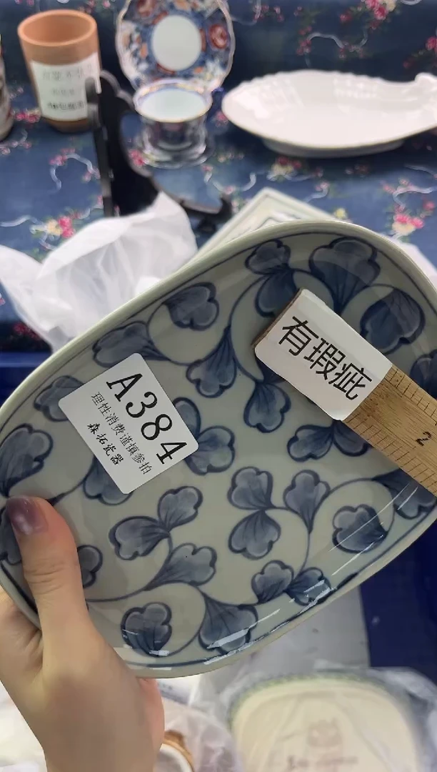 瓷片          A384