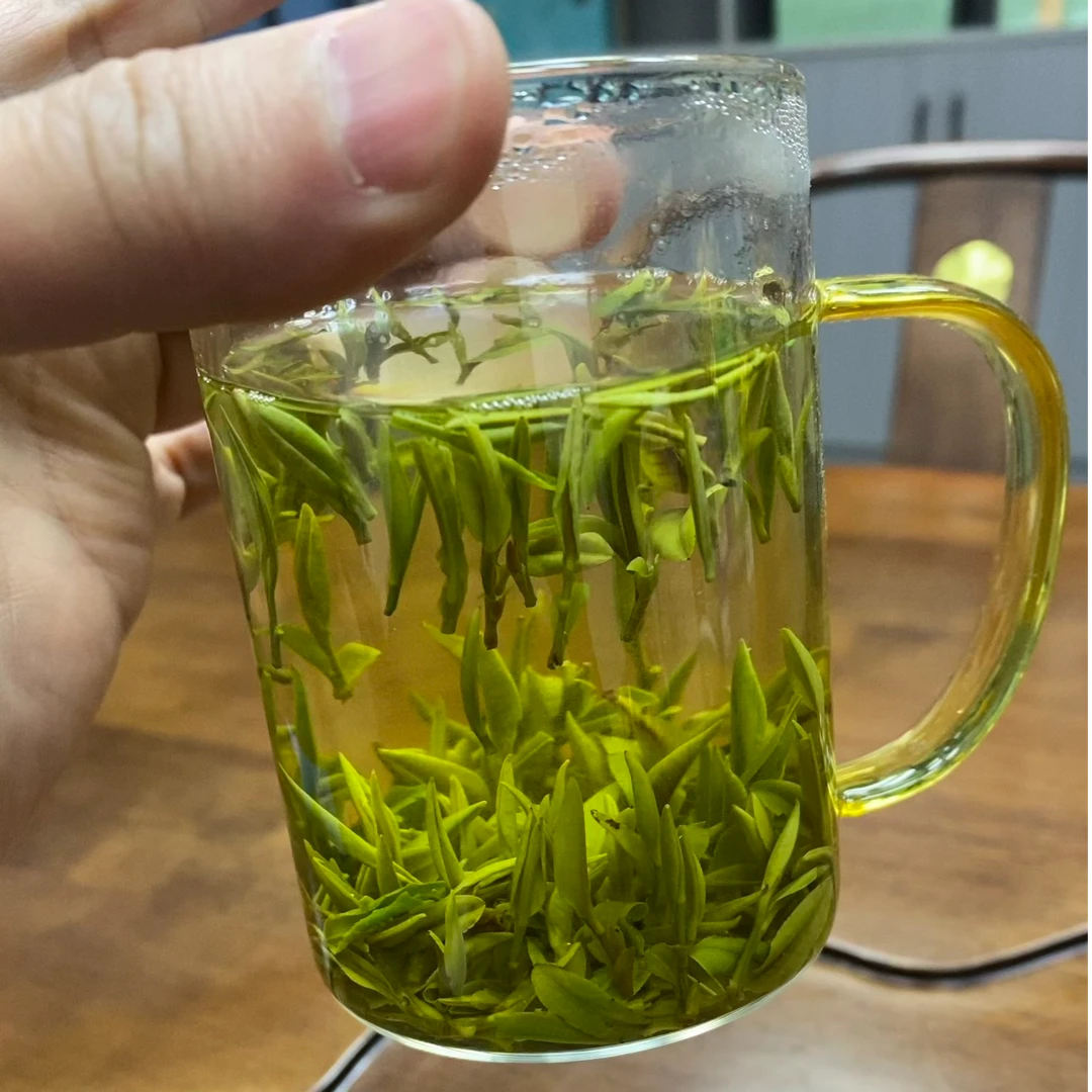 2025头采黄芽口感鲜爽持久回甘送礼佳品