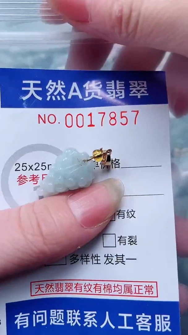 翡翠未镶嵌吊坠(不含链)1
