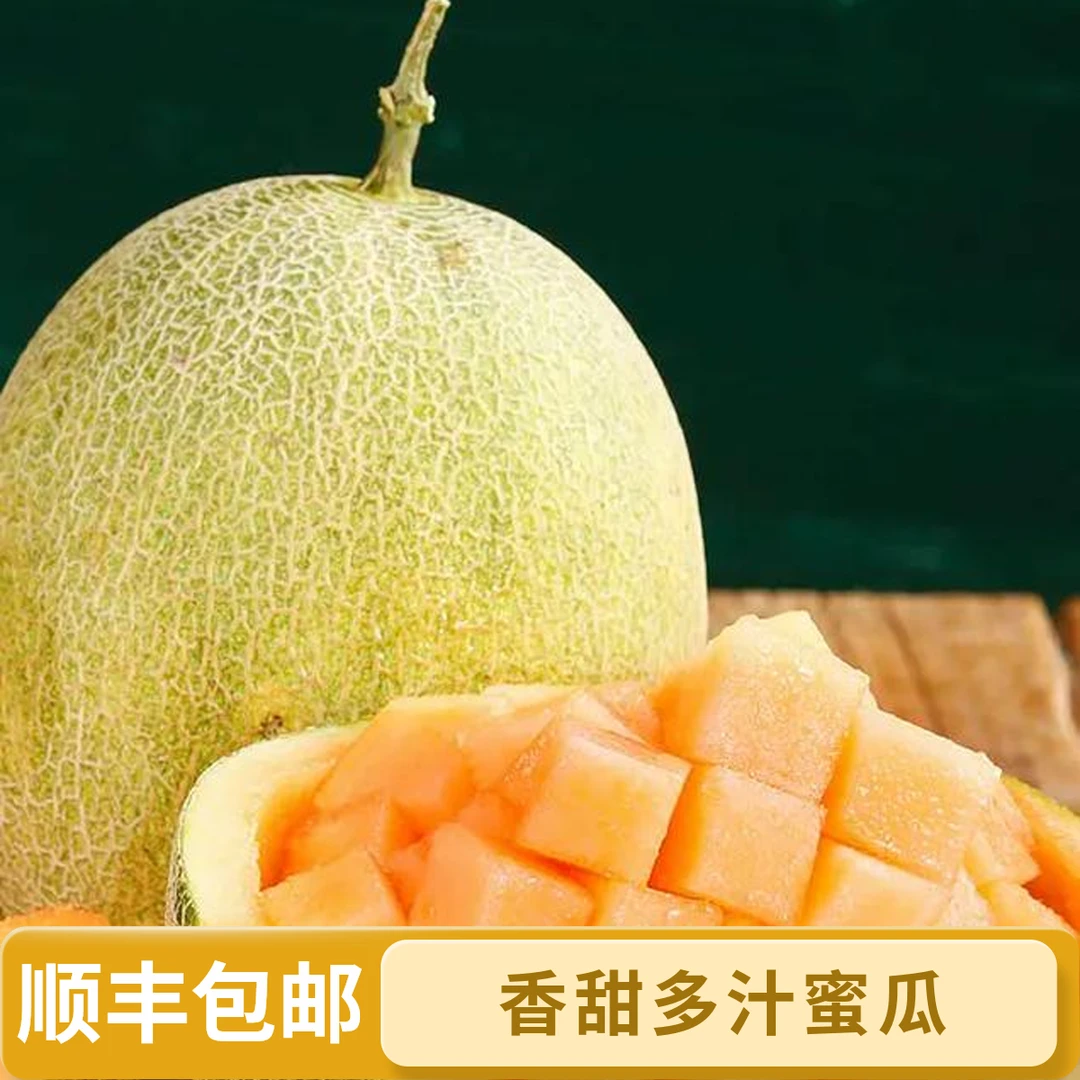 海南沙地哈密瓜五斤装海南省
