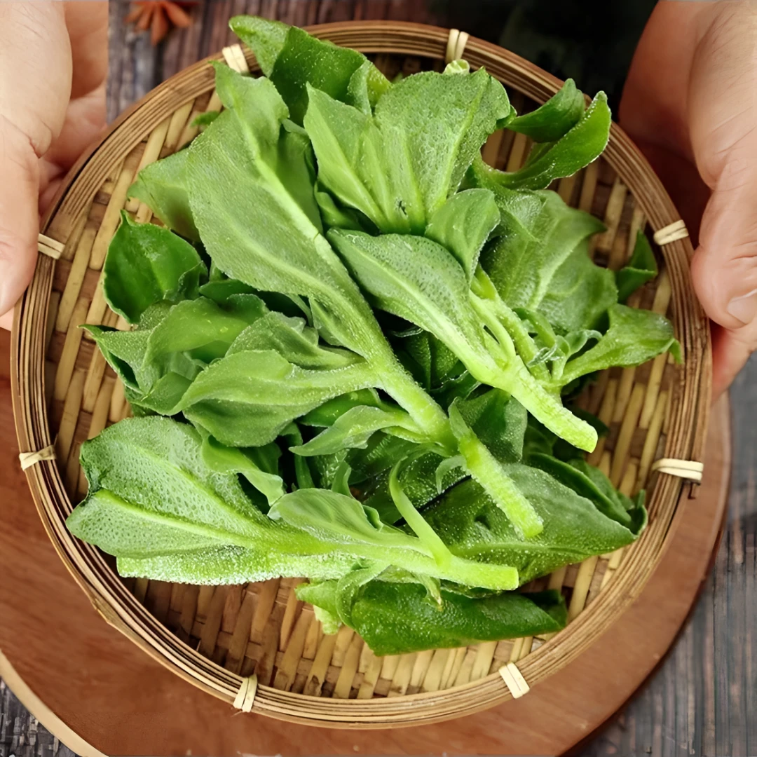 冰菜种子家庭阳台小院盆栽地栽四季种植