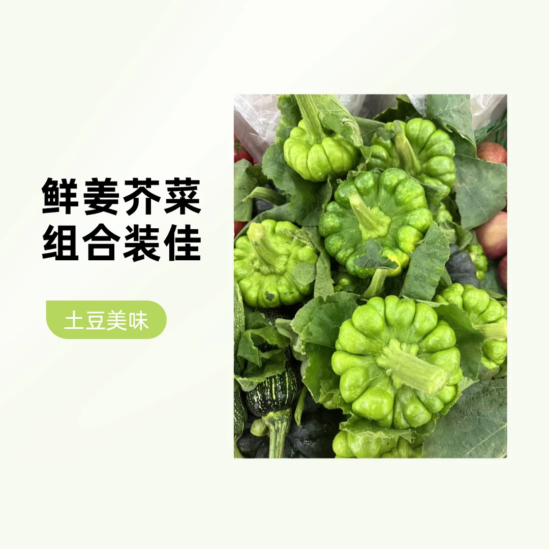 【组合】姜柄瓜 约500g +土豆  约500g,瓜尖