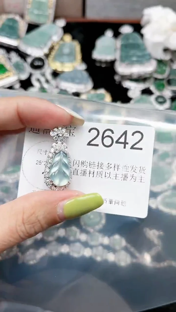 【闪购商品】翡翠颈饰未镶嵌赠皮绳2642