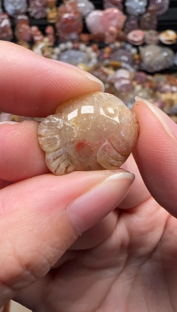 颈饰未镶嵌硅化珊瑚（珊瑚玉）726