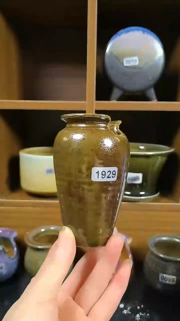 【闪购商品】红陶1929