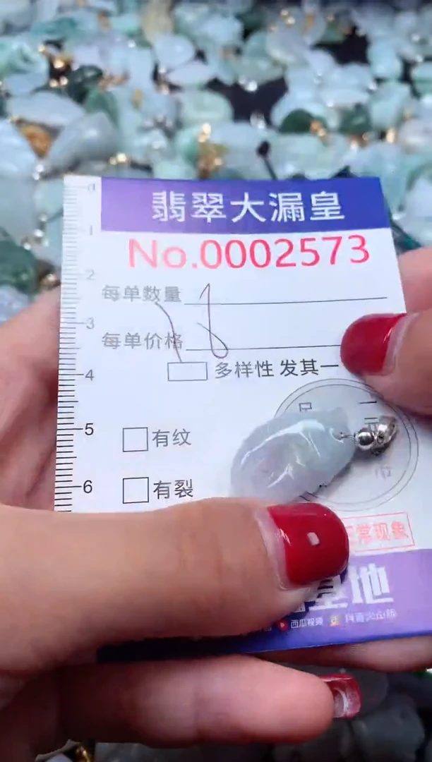 颈饰未镶嵌翡翠2573