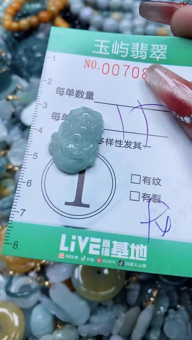 【闪购商品】翡翠颈饰未镶嵌闪购0070854