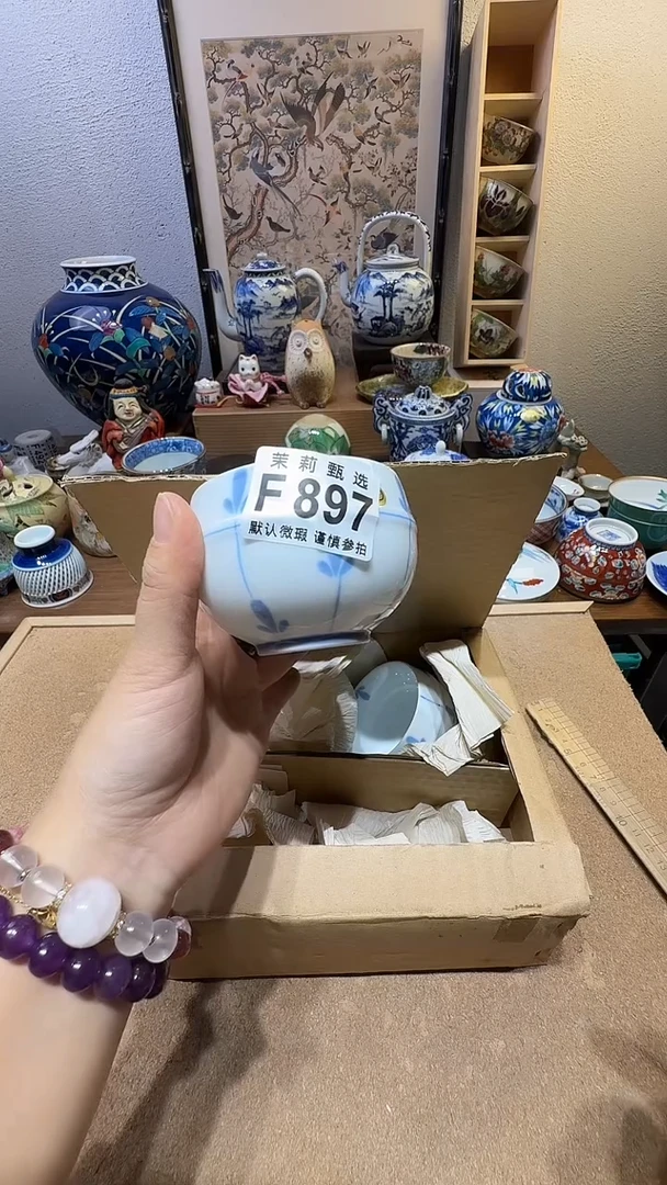 瓷片猫*鹰茉莉甄选一号商品897