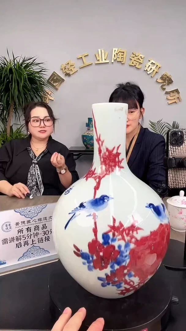 瓶D300景德镇陶瓷