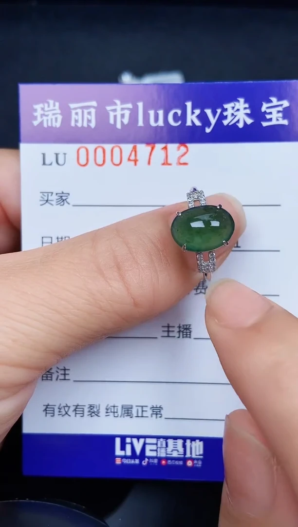 翡翠银S925镶嵌颈饰4712