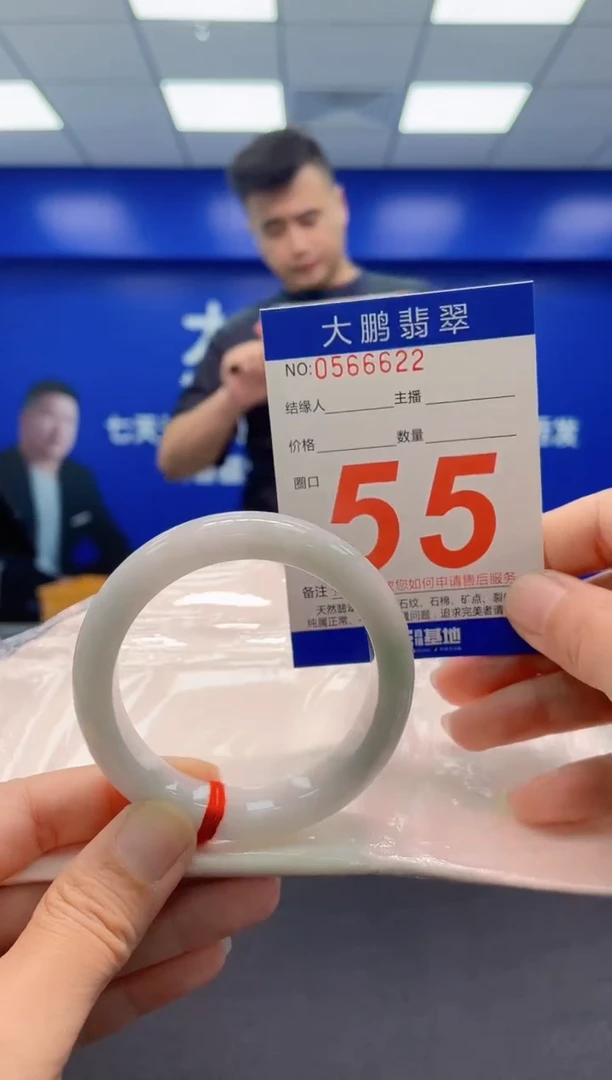 未镶嵌手镯翡翠AAAAAAAAA