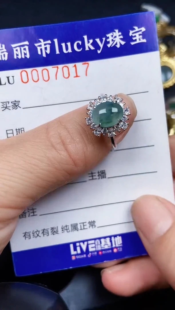 翡翠银S925镶嵌颈饰7017