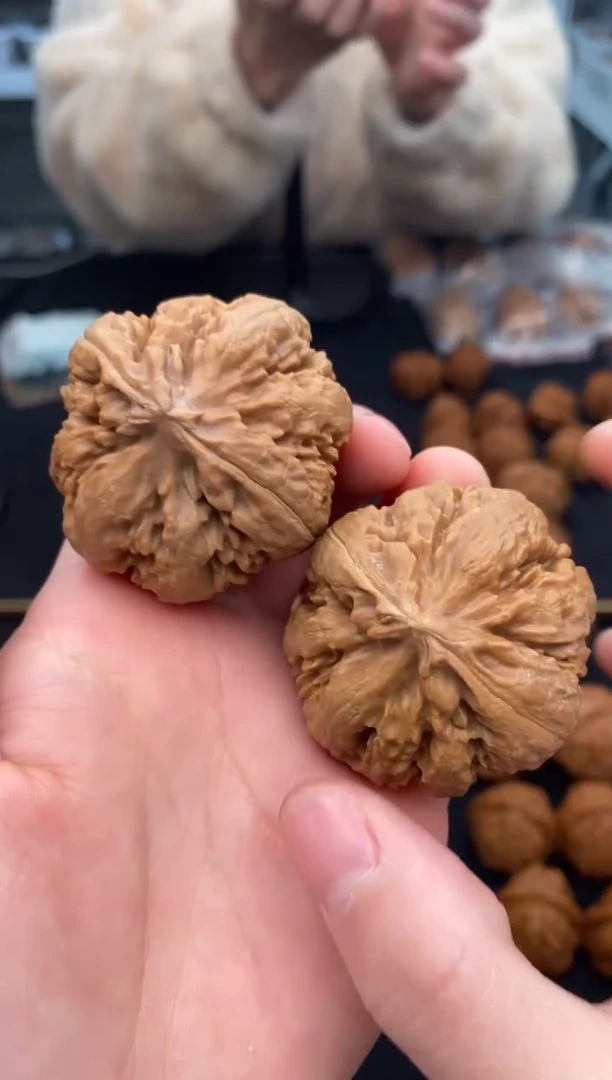 【闪购商品】文玩核桃把件霸王龙42-u636