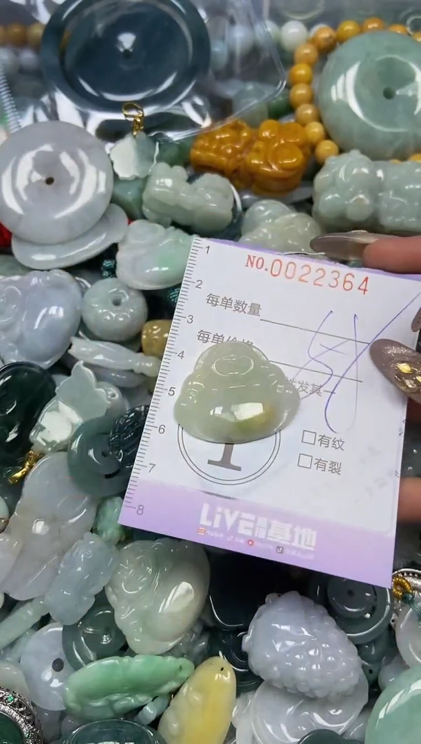 【闪购商品】翡翠颈饰未镶嵌闪购0022364