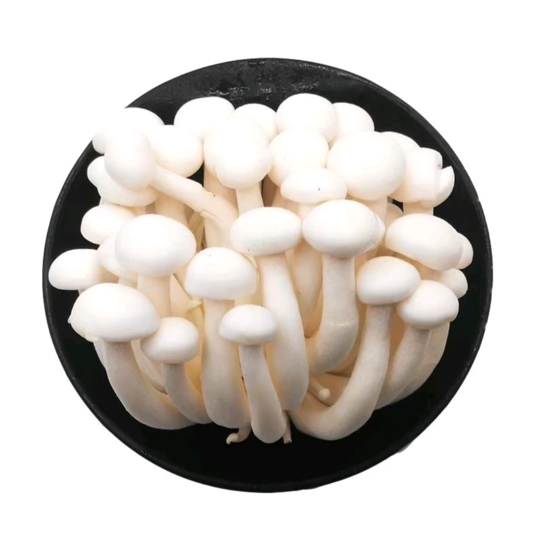 指鲜送 • 新鲜白玉菇   125g