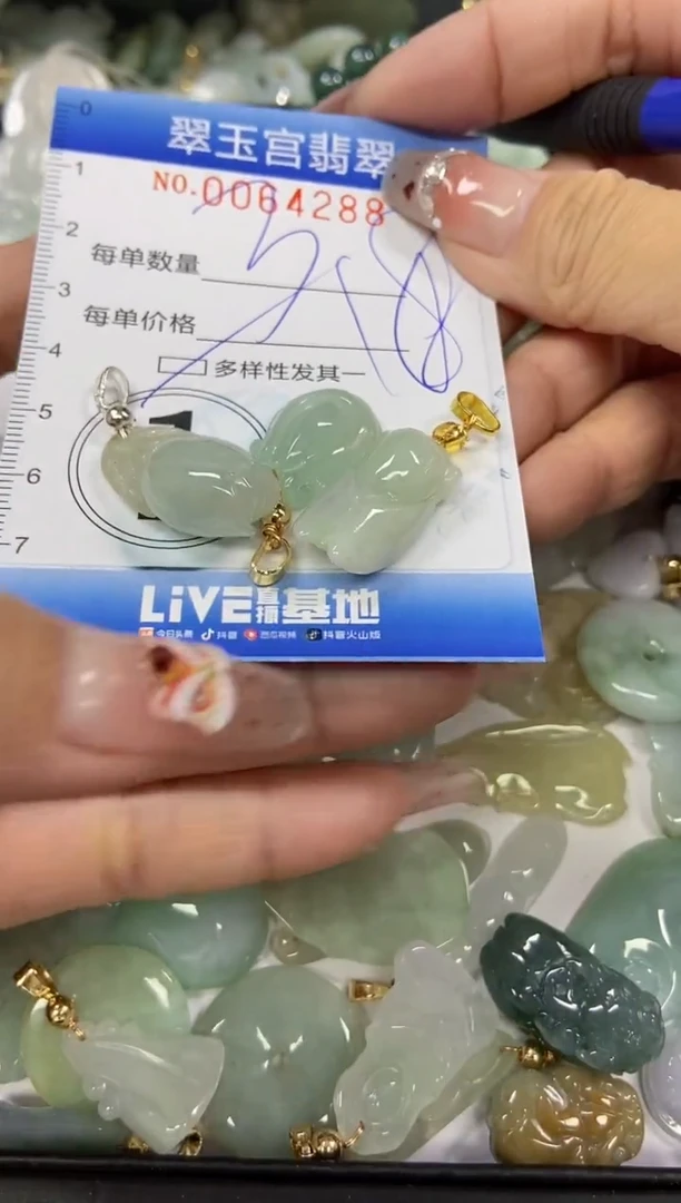 【闪购商品】翡翠颈饰未镶嵌闪购商品0064288多样性发其一