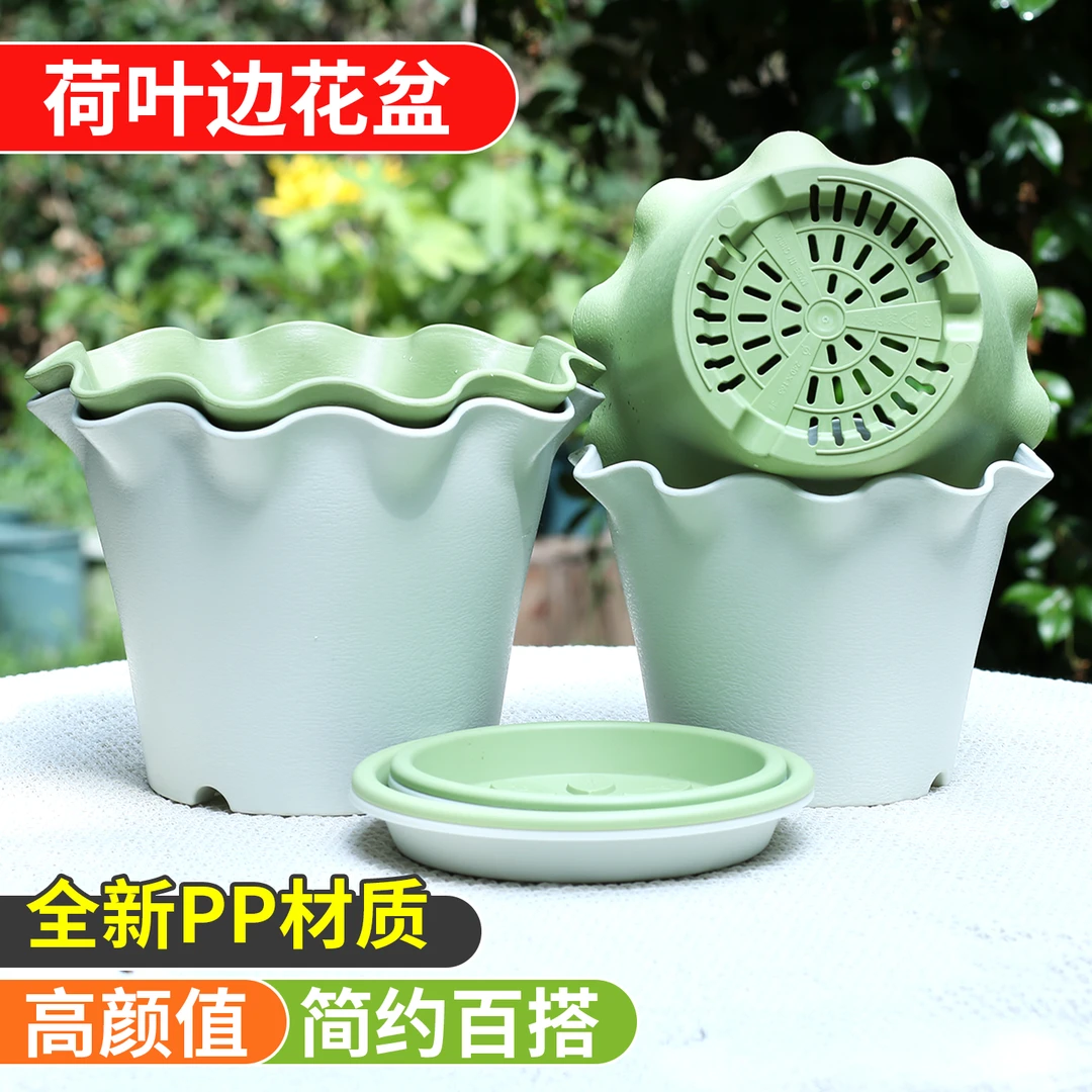 荷叶边树脂花盆波浪边花盆荷叶边盆栽花盆抗摔抗晒利于植物生长