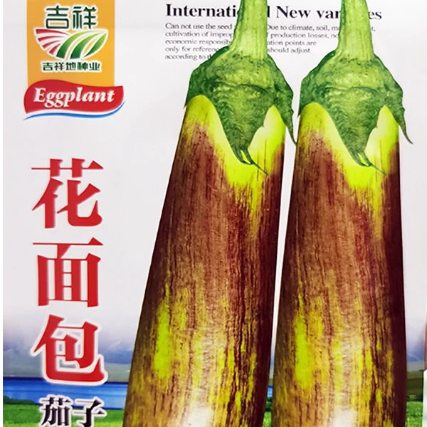 花面包茄子种子中早熟品种开展度大不易老皮口感特佳茄子籽