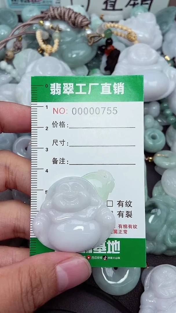 颈饰未镶嵌翡翠缅甸天然翡翠拍一发一0755