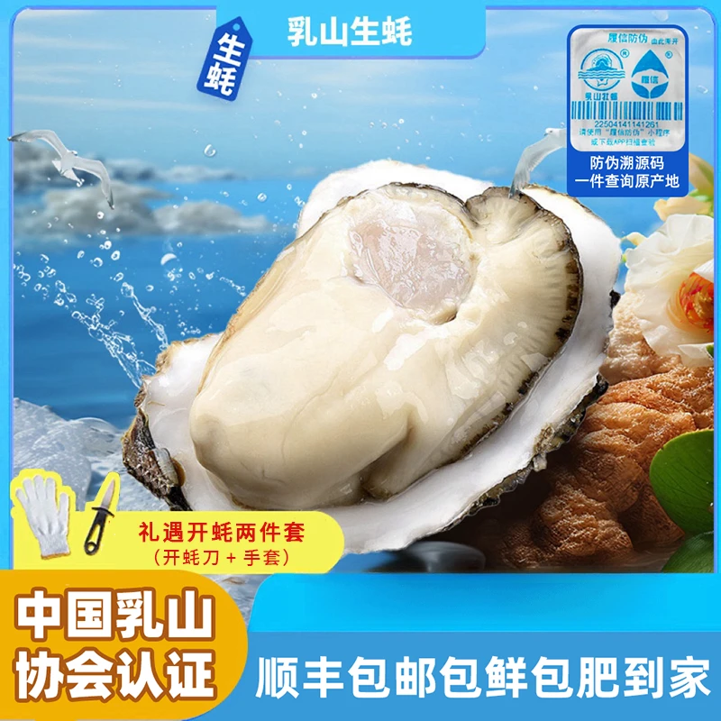 【胖小徐】鲜活免洗乳山生蚝2-3两，3-4两，4-5两/个 五斤装