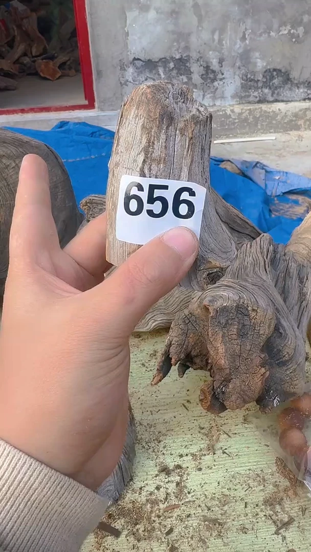 柏木（崖柏）太行陈化崖柏切片，随机一块，656