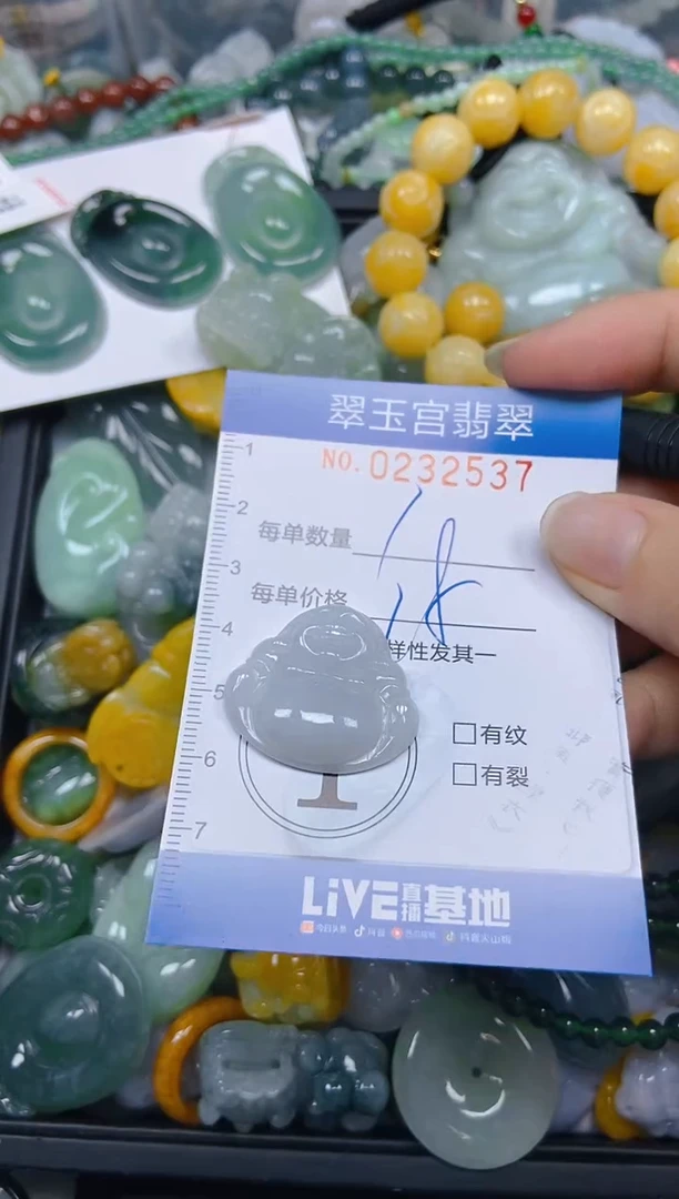 颈饰未镶嵌翡翠闪购C0232537
