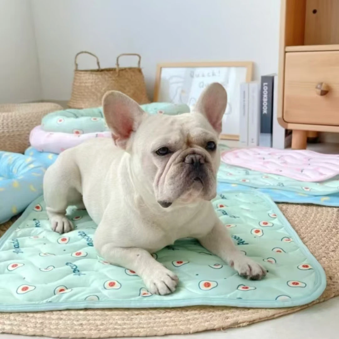 四季宠物凉垫地狗窝冰丝垫子狗狗冰垫凉席降温猫咪夏季荷兰猪