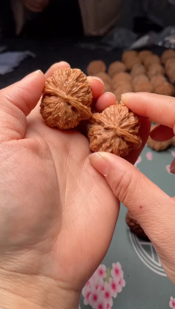 把件文玩核桃w88  白狮子 37尺