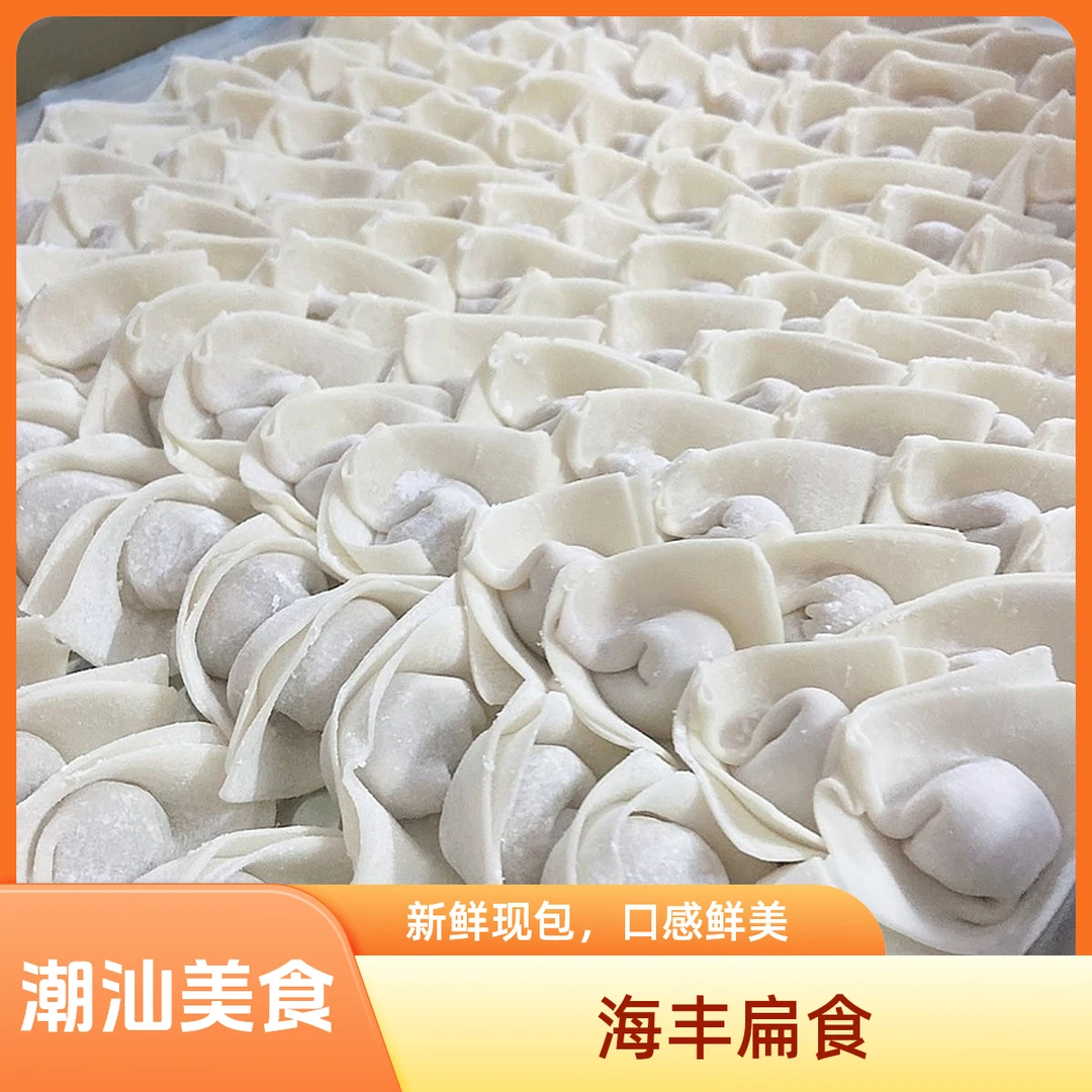 潮汕正宗特产汕尾海丰小吃手工扁食云吞方便速食500g新鲜制作