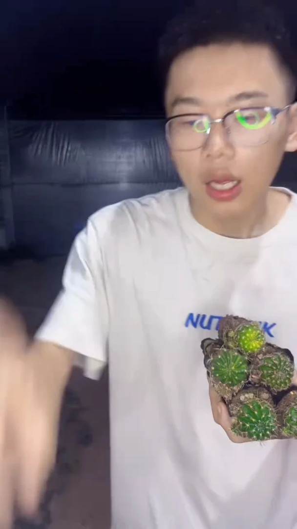 8颗 丽花【带根】品种不指定