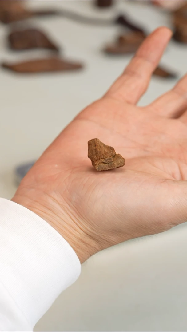 沉香沉香碎屑越南富森红土沉水2.3g