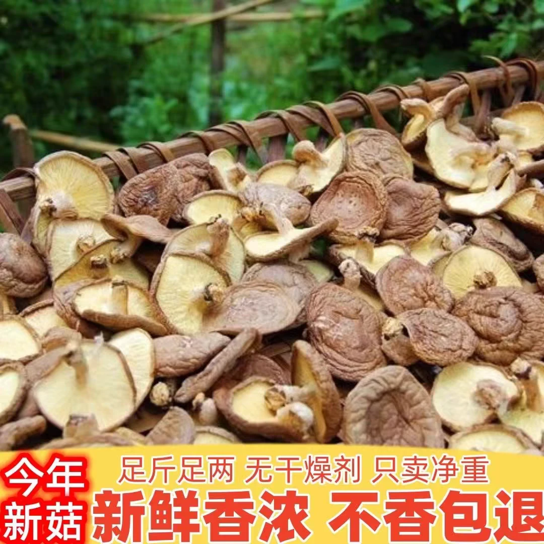 小腊妹收的椴木菇 传统工艺 精选手工农产品香味浓郁