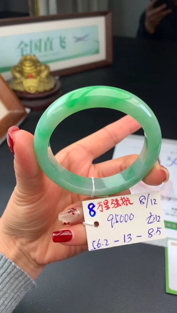 未镶嵌手镯翡翠假一赔三   手镯