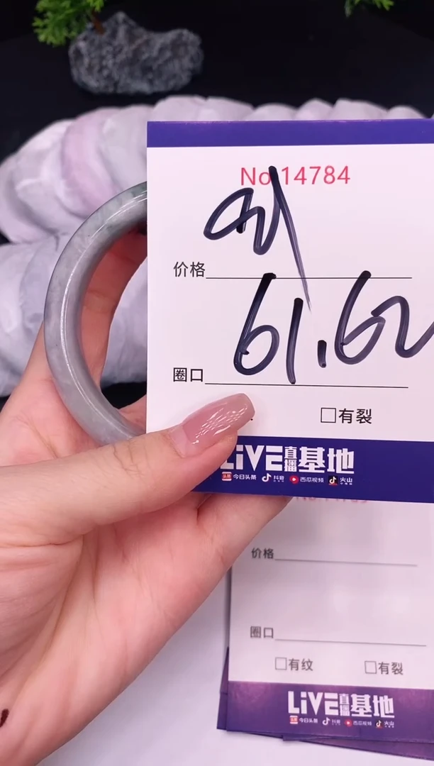 未镶嵌手镯翡翠14784