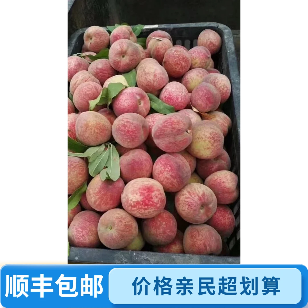 胭脂红桃子普通包装