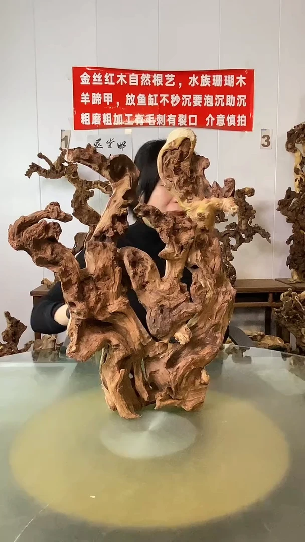 香榧木通***。金丝红木 羊蹄甲