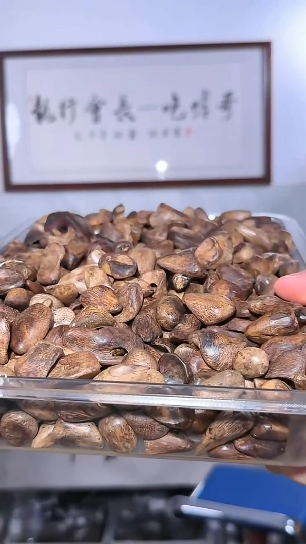 沉香吊坠a12号瘤疤舍利子发一粒多样性发一