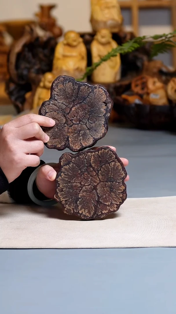 木一对九龙藤切片C2742