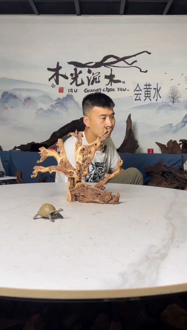 紫砂a归****。557木光沉木木光沉木557