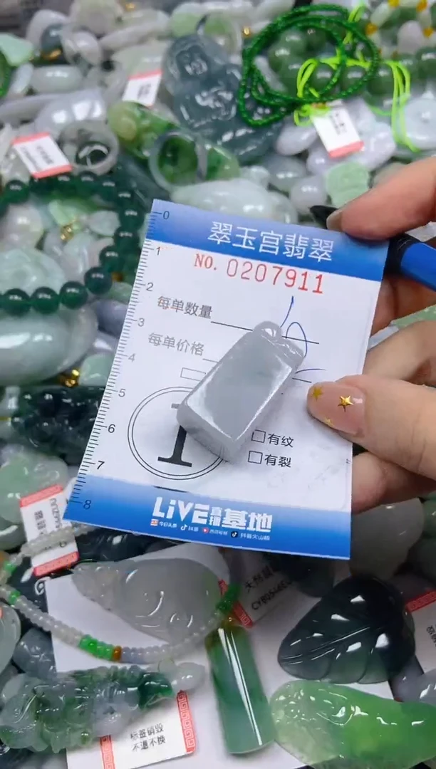 颈饰未镶嵌翡翠闪购C0207911