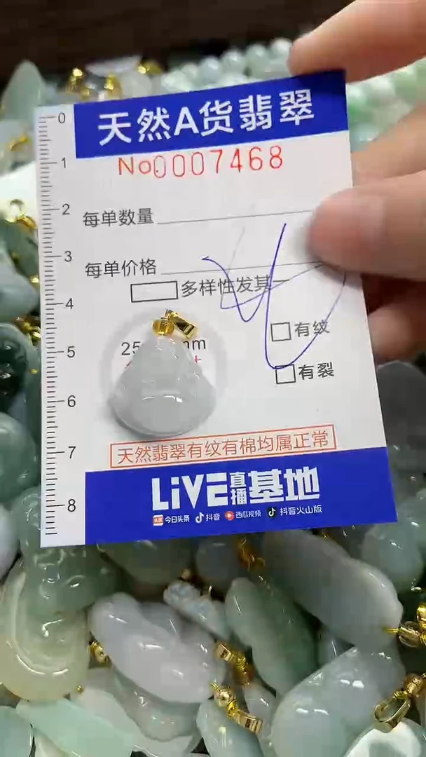 颈饰未镶嵌翡翠天然A货翡翠
